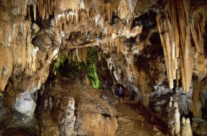 Jama_%20foto%20Bogdan%20Kladnik[1]