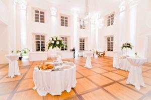 10 Stoječi sprejem v Baročni dvorani