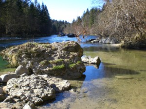 Nabiranje regrad 9Mar08 002