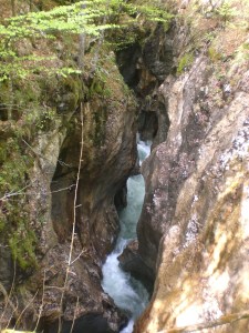 Mostnica 1 maj  2013 016 (2013_05_22 12_13_24 UTC)