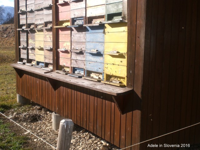 Bees S.Vas 5.2.2016-001