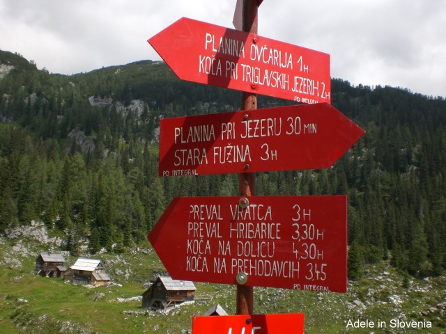 CIMG6468 (2013_07_22 14_09_31 UTC)