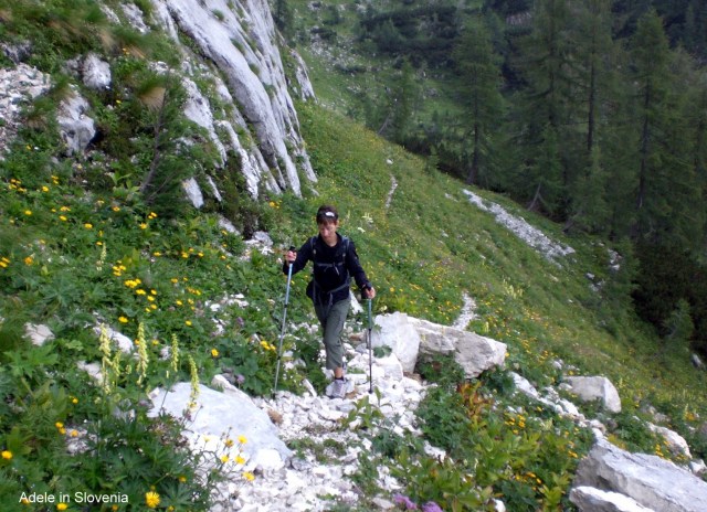 Bohinjske planine 27. Julij 2011 007
