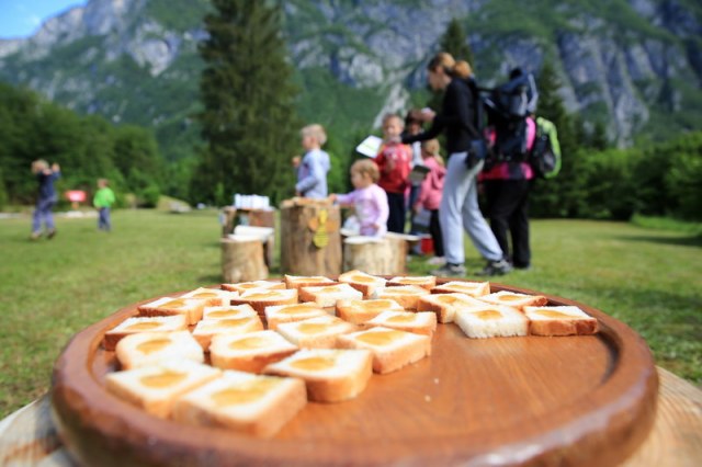 Childrens Wknd Bohinj flower festival