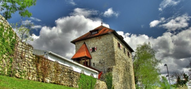 pavus-grad-tabor-960x446