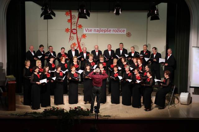 13265942_10154271017690739_3528713341847318411_n