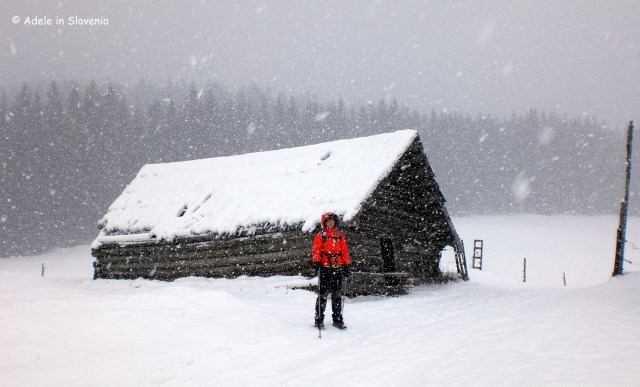 mrezice-25-november-2010-023