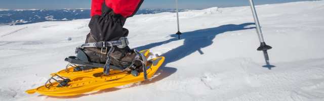 snowshoe-sizing