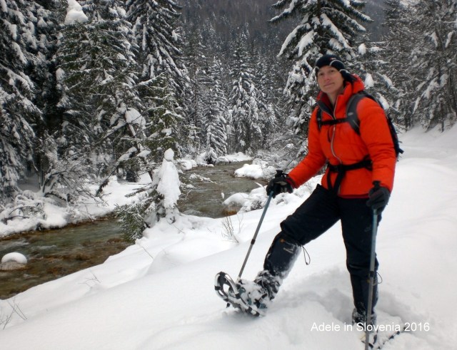 vrata-krplanje-18-januar-2013-001-001